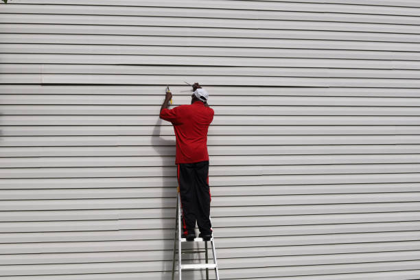 Best Custom Siding Design  in Argo, AL