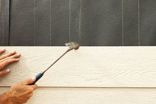Best Stone Veneer Siding  in Argo, AL
